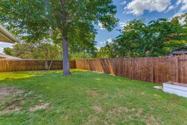 4113 Blue Flag Ln, Fort Worth, TX 76137 - view of fenced backyard