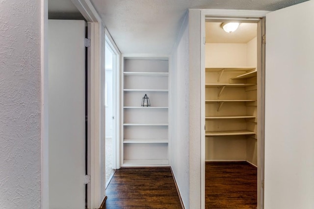 4113 Blue Flag Ln, Fort Worth, TX 76137 - spacious closet with wood finished floors