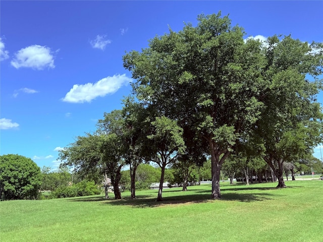 4113 Blue Flag Ln, Fort Worth, TX 76137 - view of community with a yard