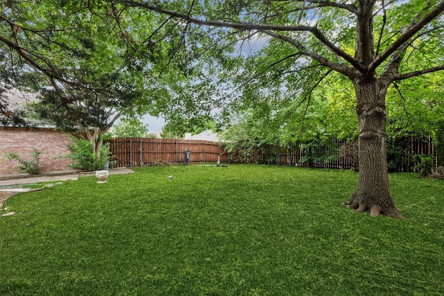 9942 Laurel Ln, Frisco, TX 75035 - view of fenced backyard