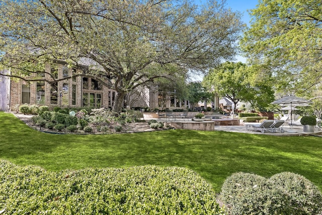 14516 Winnwood Rd, Addison, TX 75254 - view of green lawn with a patio area