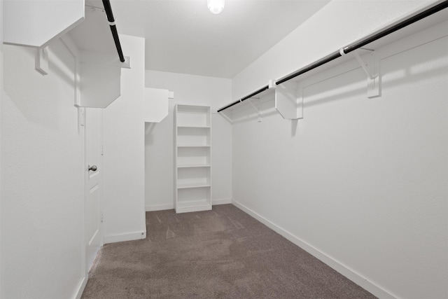 6112 Fall Creek Ln, Fort Worth, TX 76123 - walk in closet with carpet flooring