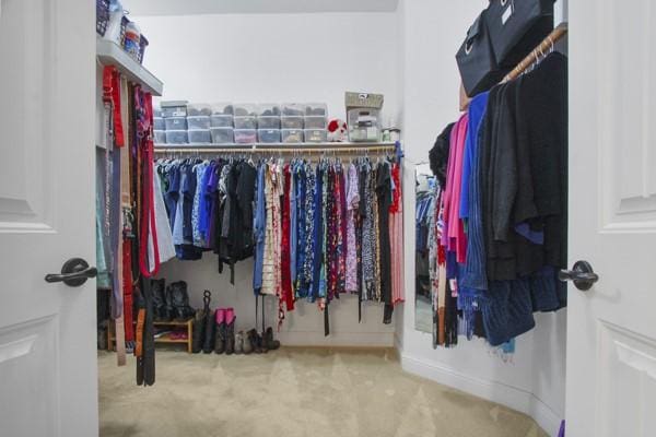 1165 Breakwater Dr, Frisco, TX 75036 - spacious closet with carpet floors