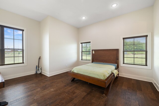 580 Vz County Road 3422, Wills Point, TX 75169 - bedroom with multiple windows, wood finished floors, and recessed lighting
