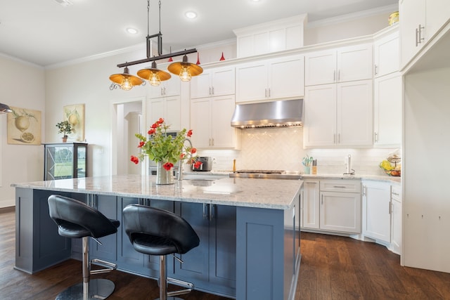 580 Vz County Road 3422, Wills Point, TX 75169 - kitchen featuring under cabinet range hood, dark wood finished floors, ornamental molding, white cabinets, and tasteful backsplash