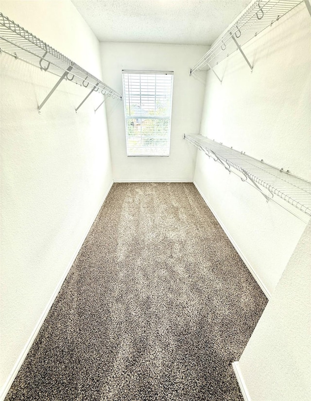 2024 Kings Forest Dr, Heartland, TX 75126 - view of spacious closet