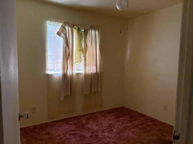 4317 Gram Ln, Waco, TX 76705 - view of carpeted spare room