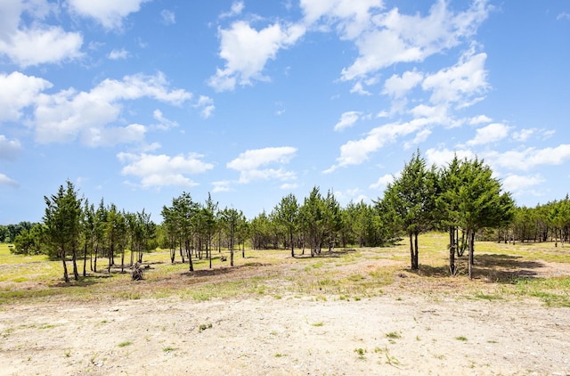 7050 Champion Rd, Midlothian, TX 76065 - view of undeveloped land featuring rural landscape