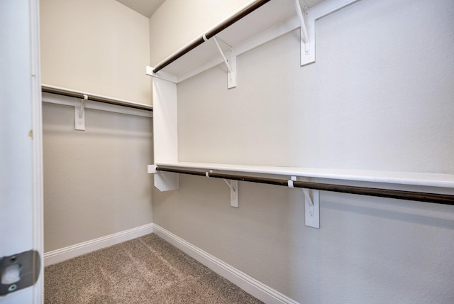 15005 Teasley Ave, Aledo, TX 76008 - spacious closet with carpet