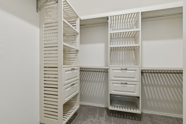 7105 Stoneridge Dr, Frisco, TX 75034 - walk in closet featuring dark colored carpet