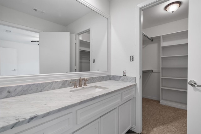 4209 Brooktree Ln, Dallas, TX 75287 - bathroom with vanity and a walk in closet