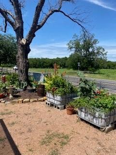 701 Fm 45, Richland Springs, TX 76871 - view of yard featuring a garden