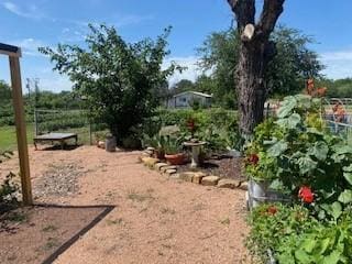 701 Fm 45, Richland Springs, TX 76871 - view of yard