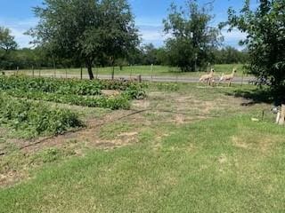 701 Fm 45, Richland Springs, TX 76871 - view of yard featuring a vegetable garden