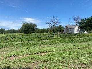 701 Fm 45, Richland Springs, TX 76871 - view of yard