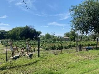 701 Fm 45, Richland Springs, TX 76871 - view of green lawn with a view of rural / pastoral area