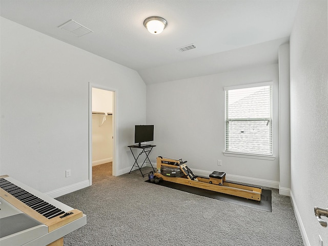 709 Providence, Wylie, TX 75098 - miscellaneous room featuring carpet flooring and lofted ceiling