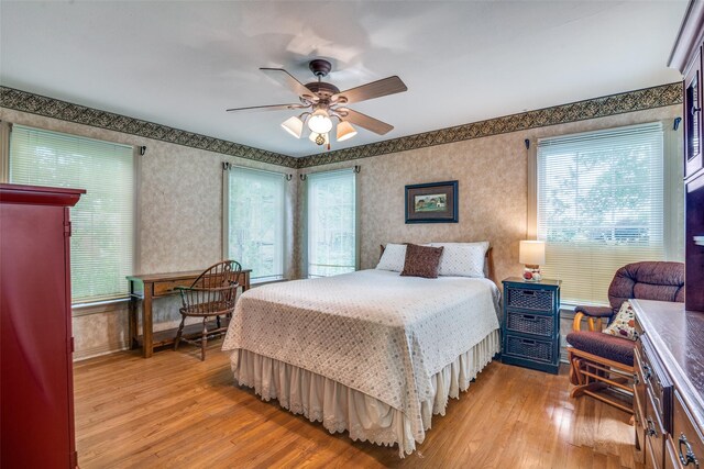1312 Linden Ln, Garland, TX 75040 - bedroom with light wood-type flooring, wallpapered walls, multiple windows, and ceiling fan