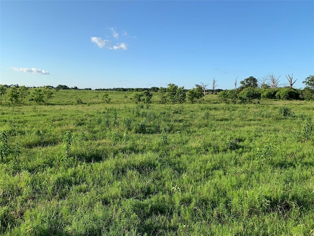 00 Fm 198, Mabank, TX 75147