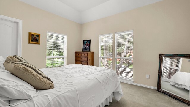 6740 Magnum Dr, Plano, TX 75024 - bedroom with light carpet and multiple windows