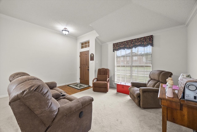 2918 Beau Dr, Mesquite, TX 75181 - living room featuring carpet flooring, ornamental molding, and a textured ceiling