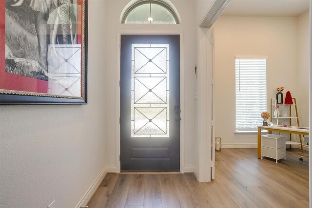 5729 Violet Crown Pl, Fort Worth, TX 76126 - entrance foyer featuring wood finished floors and plenty of natural light