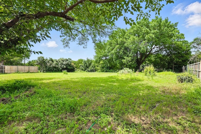 1419 Juniper Ln, Lewisville, TX 75077 - view of yard