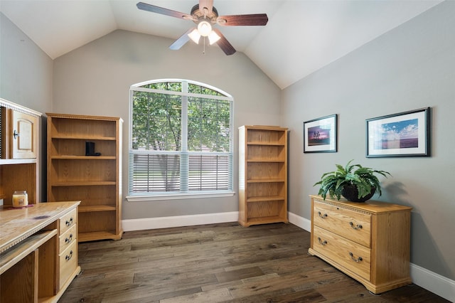 2413 Bachman Dr, Flower Mound, TX 75028 - office space featuring vaulted ceiling, plenty of natural light, a ceiling fan, and dark wood finished floors