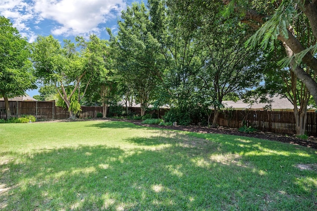 2413 Bachman Dr, Flower Mound, TX 75028 - view of fenced backyard