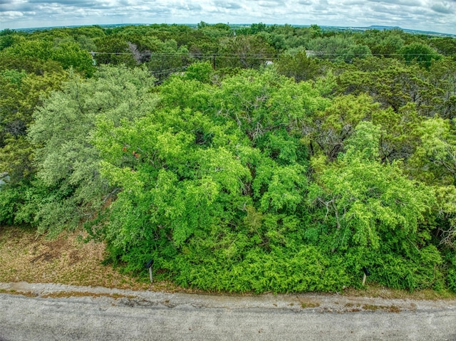 2721 Walnut St, Granbury, TX 76048