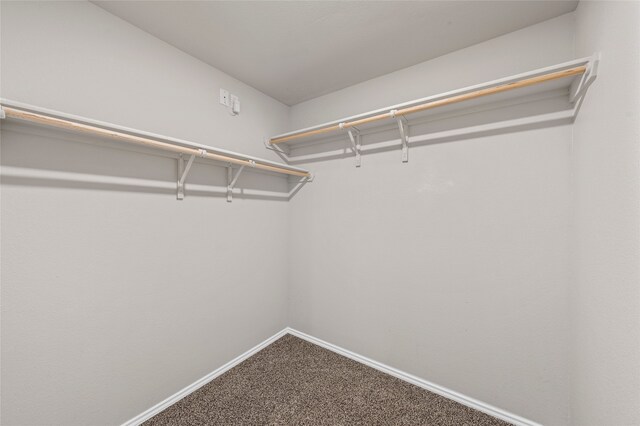 6941 Guadalupe Rd, China Spring, TX 76633 - spacious closet with carpet flooring
