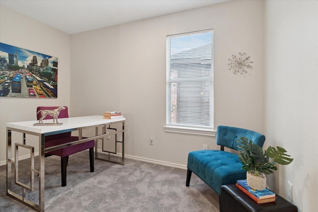 1208 Wildflower Ln, Mesquite, TX 75149 - home office featuring carpet and baseboards