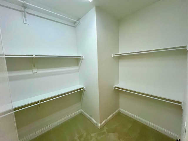 1413 Discovery Bay Dr, Frisco, TX 75036 - view of walk in closet