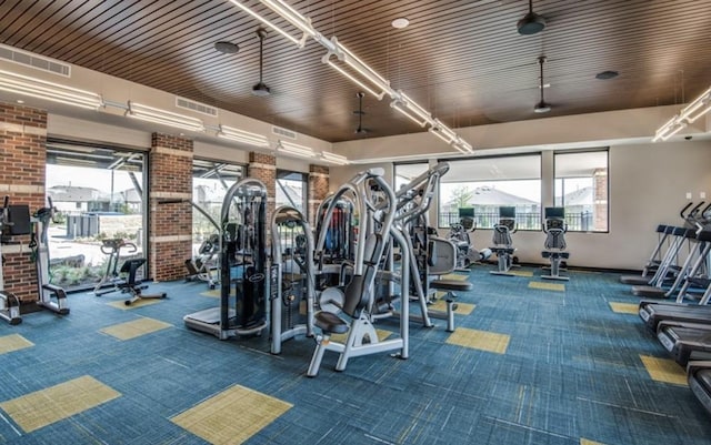 1413 Discovery Bay Dr, Frisco, TX 75036 - workout area featuring carpet flooring
