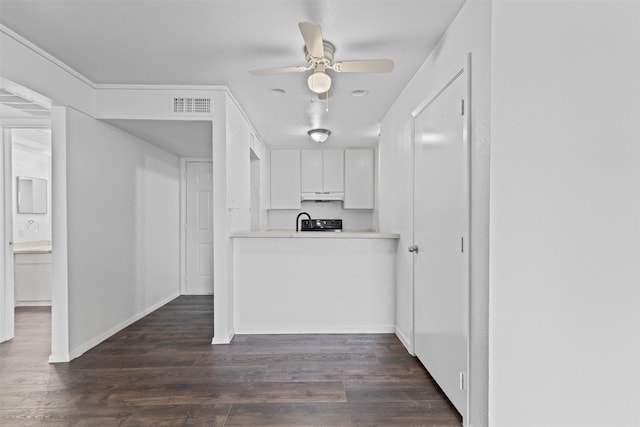5500 Boca Raton Blvd Unit 327, Fort Worth, TX 76112 - kitchen featuring under cabinet range hood, white cabinets, ceiling fan, dark wood-style flooring, and light countertops