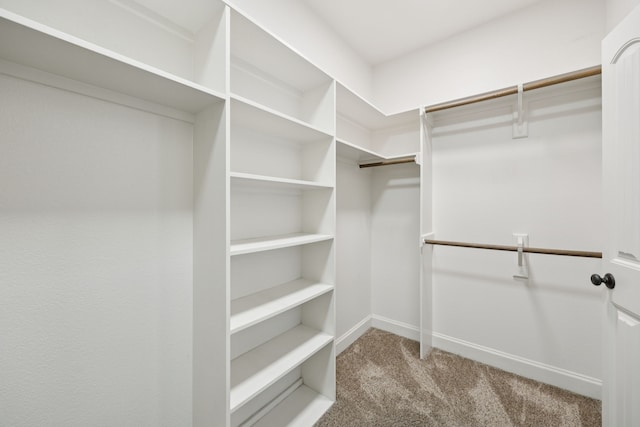 149 Ty Ln, Azle, TX 76020 - spacious closet with carpet