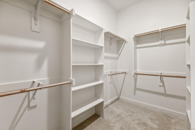 923 Hazel Dr, Lavon, TX 75166 - walk in closet with light carpet