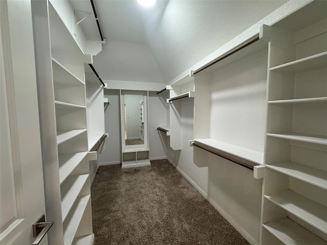 3324 Acorn Hill Trl, Weatherford, TX 76087 - spacious closet with carpet and vaulted ceiling