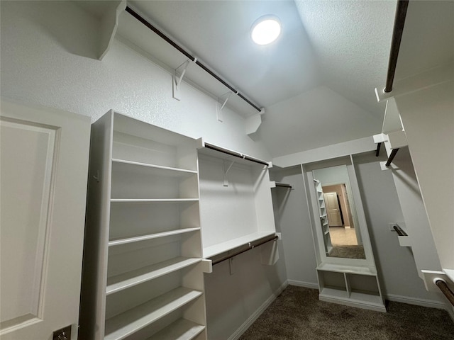 3324 Acorn Hill Trl, Weatherford, TX 76087 - spacious closet with dark carpet and lofted ceiling