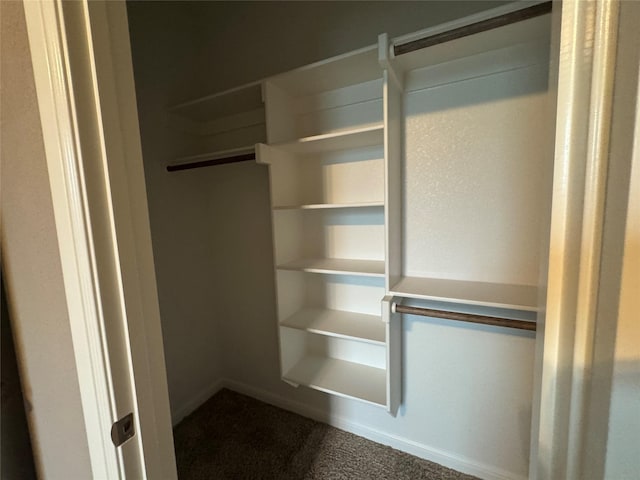 3324 Acorn Hill Trl, Weatherford, TX 76087 - view of closet