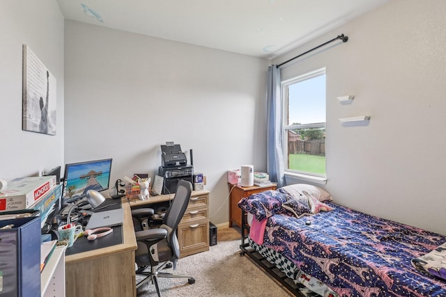 209 Brook Ct, Red Oak, TX 75154