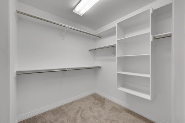 9841 Freedoms Way, Keithville, LA 71047 - walk in closet featuring carpet flooring