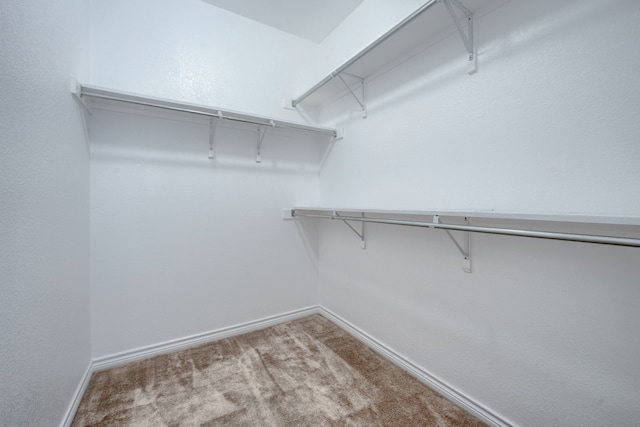 3003 Margot Ct, Wylie, TX 75098 - walk in closet with carpet floors