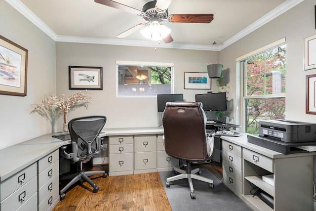 8928 Aldwick Cir, Dallas, TX 75238 - office space featuring a ceiling fan, wood finished floors, and ornamental molding