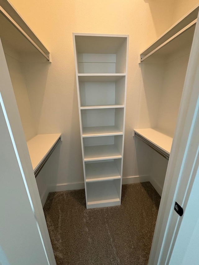 1147 N Madison Ave Unit 102, Dallas, TX 75208 - spacious closet with dark colored carpet