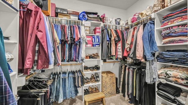 1401 County Road 1470, Chico, TX 76431 - spacious closet with carpet flooring
