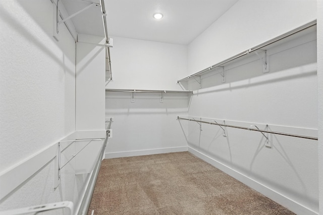 1519 Calcot Ln, Forney, TX 75126 - spacious closet with light carpet