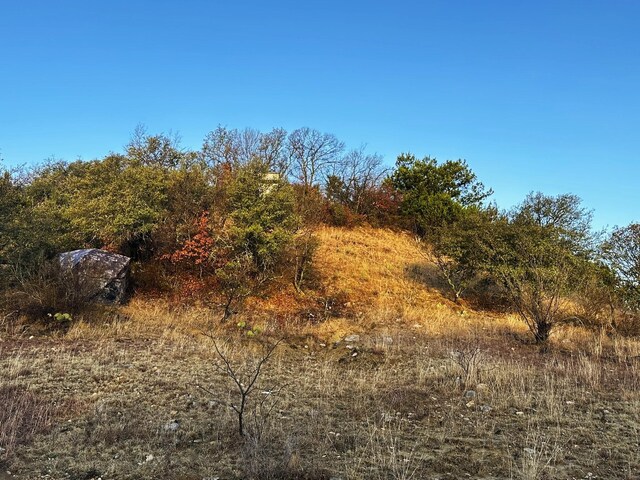 TBD S Main St, Carbon, TX 76435