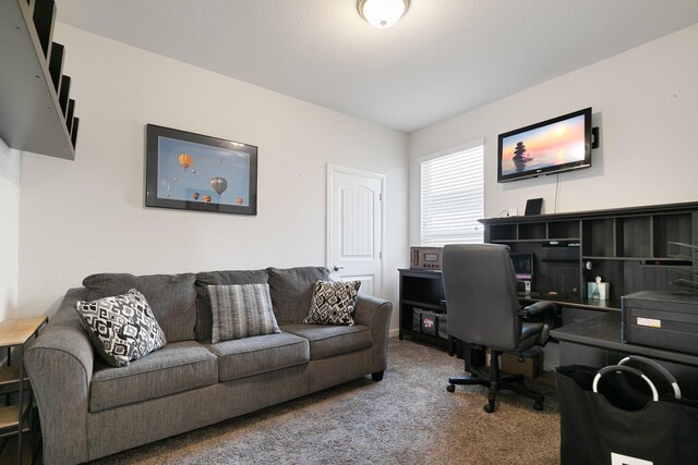 1112 Metaline Trl, Fort Worth, TX 76177 - office space with carpet flooring