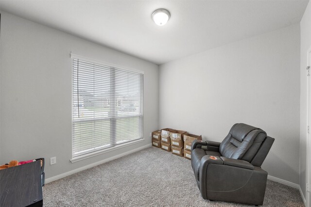 6932 Sulphur Ct, China Spring, TX 76633 - living area with carpet floors